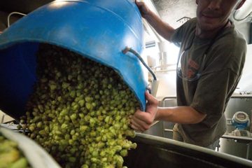 Duitsland schort bierbelasting op