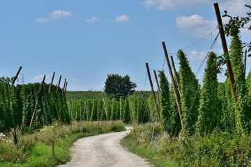Tag des Bieres