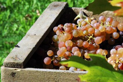 Jura hoopt op hulptroepen