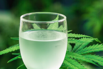 Cannabisdranken bedreiging voor traditionele alcoholconsumptie?