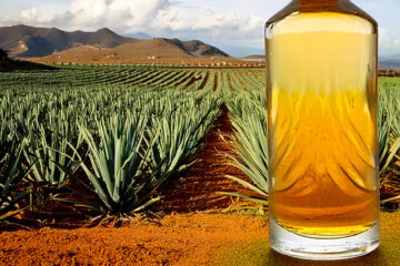 Spanning rondom Tequilas neemt toe