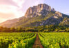 Sainte-Victoire erkend als cru binnen Côtes de Provence