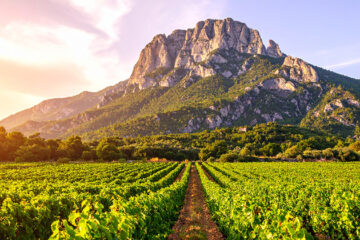 Sainte-Victoire erkend als cru binnen Côtes de Provence