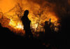 Grootste Franse bosbrand in decennia onder controle
