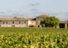 Château Lafleur verlaat Bordeaux-appellatie