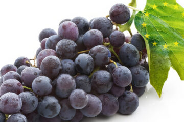 EU blijft wijnsector steunen ondanks wereldwijde druk