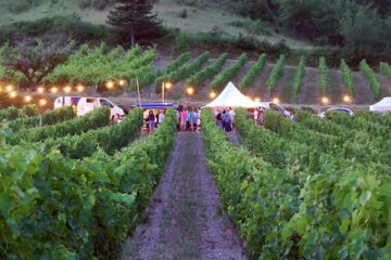 Wijntoerisme stevige pijler van wijnbedrijven