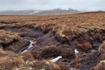 Schotse whiskysector herstelt veen voor de toekomst