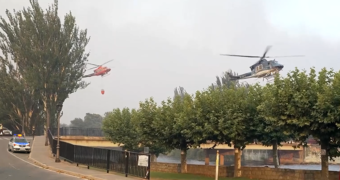 Bosbranden en droogte zetten Bordeaux onder druk