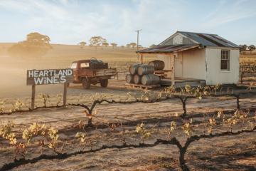 Heartland Wines onder curatele na miljoenenverlies