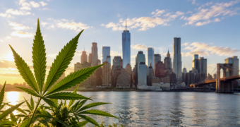 Waait de cannabisdranktrend vanuit de VS straks over?