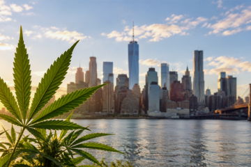 Waait de cannabisdranktrend vanuit de VS straks over?