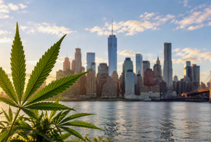 Waait de cannabisdranktrend vanuit de VS straks over?