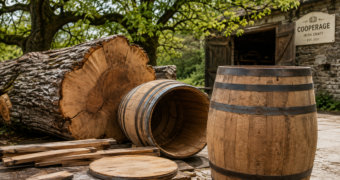 Duizend jaar oude Ierse eik krijgt tweede leven als whiskyvaten